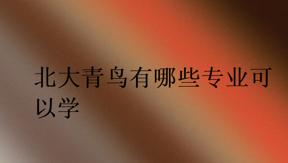 北大青鳥有哪些專業可以學
